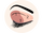 vanishing monolid eye diagram