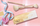 Daily brush set