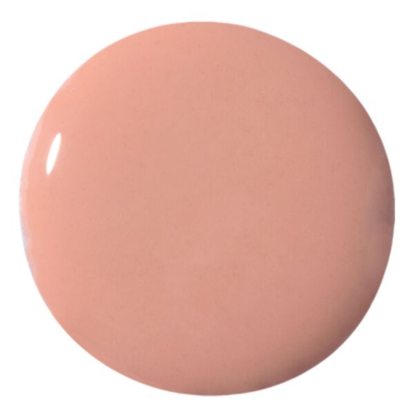 Plush Lip Gloss Softness