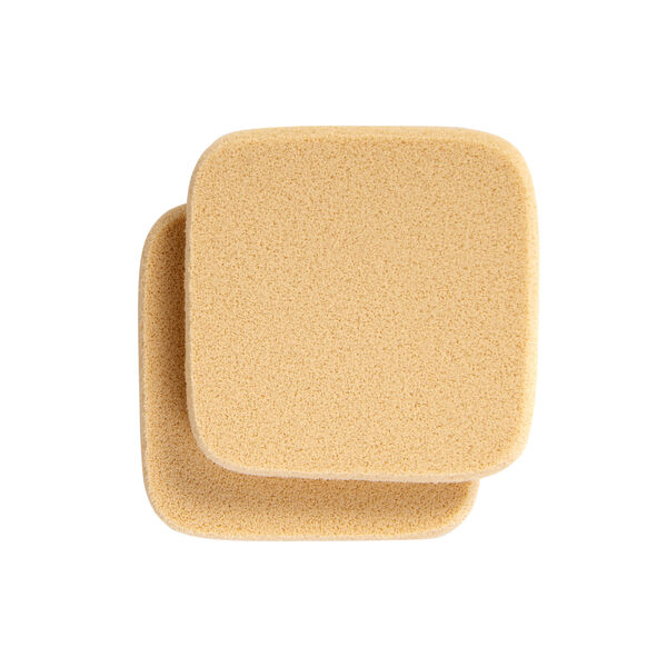 Foundation Sponges