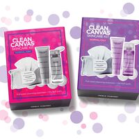 Clean Canvas Skincare Kit Normal/Dry