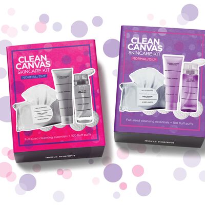 Clean Canvas Skincare Kit