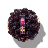 Natural Lip Oil Mora