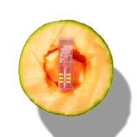 Natural Lip Oil Melone