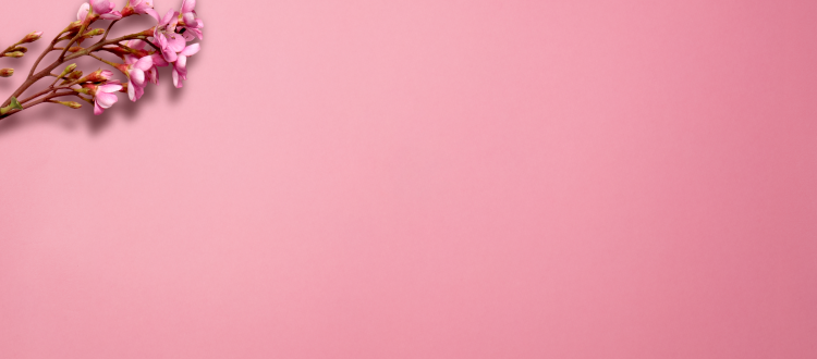 pink background with flowers