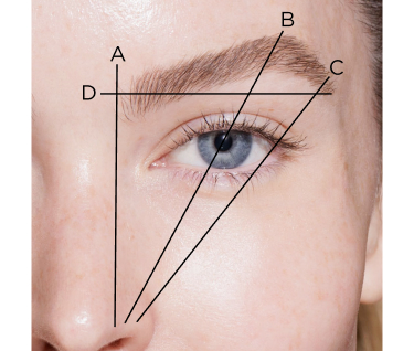 model with brow mapping