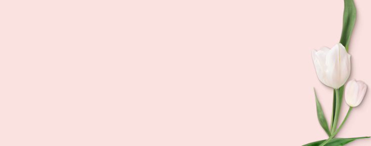 Light pink background with tulips