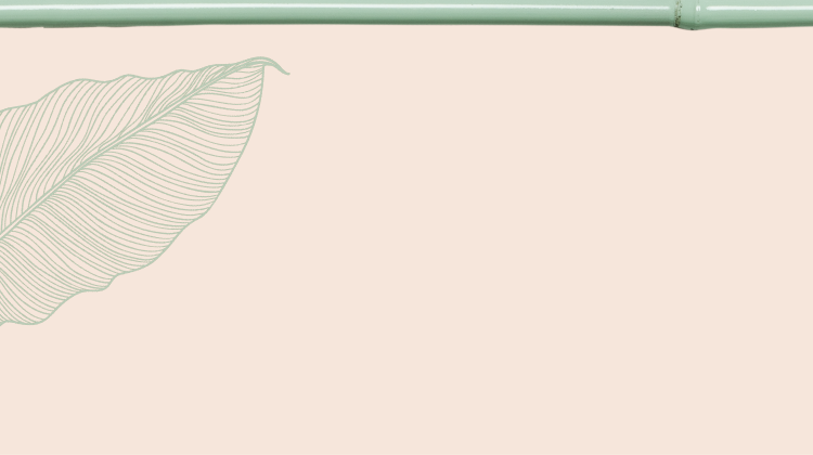 Light yellow background with a leaf and bamboo