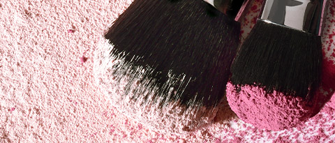 merle norman brushes Merle Norman Makeup Accesories