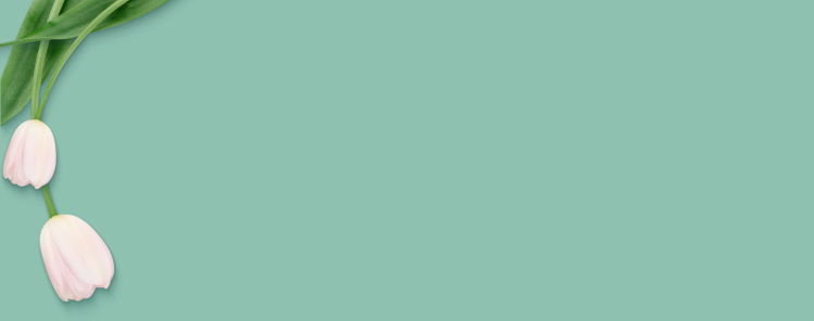 Light green background with tulips